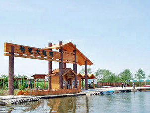 ������ɻ����԰