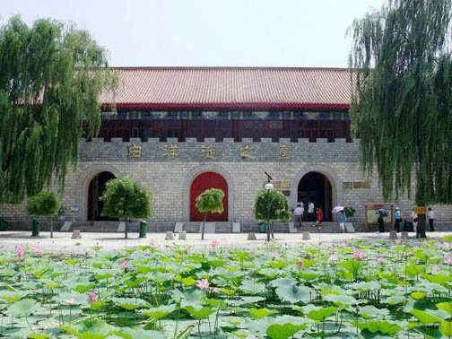 �����ԧ�쵺